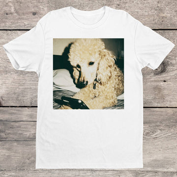 Project Sanctuary: Looking For A "Good Boy" Tee