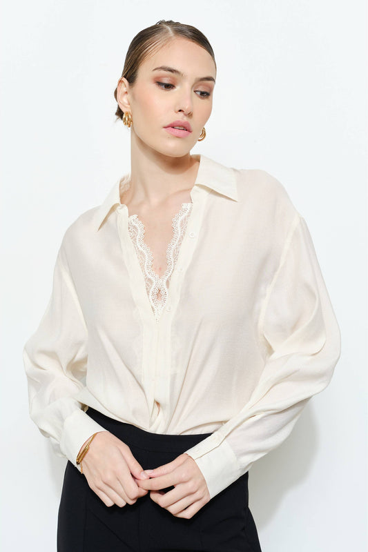 Elegant Lace Trim V-Neck Blouse